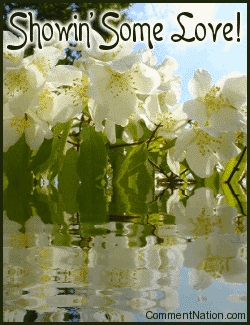 Click to get the codes for this image. This graphic shows beautiful white blossoms reflected in an animated pool! The comment reads: Showin' Some Love!