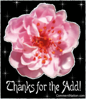 Click to get the codes for this image. Thank your new virtual friends for adding you with this great animated comment. The graphic shows a pretty pink flower with animated glitter stars! The comment reads: Thanks For the Add!