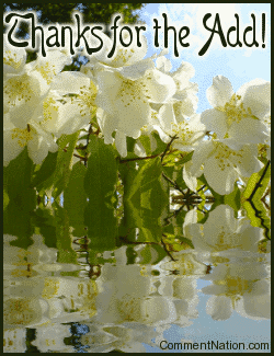 Click to get the codes for this image. Thank your new virtual friends for adding you with this great animated comment. The graphic shows beautiful white blossoms reflected in an animated pool! The comment reads: Thanks For the Add!