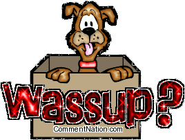 Click to get the codes for this image. This cute glitter graphic shows a dog peering out of a cardboard box. The comment reads: Wassup?