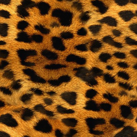 Click to get seamless fur and animal print backgrounds and tileable wallpapers.